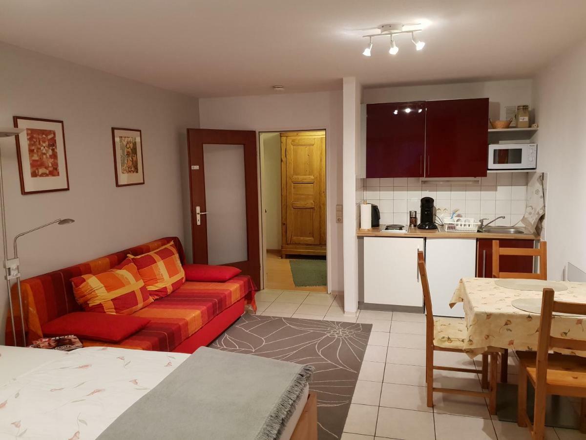 City Appartement 5 Freiburg im Breisgau Eksteriør bilde